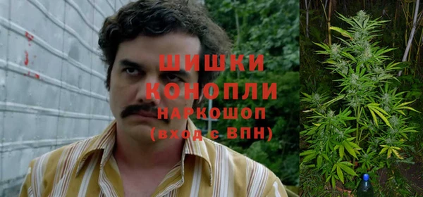 дживик Алзамай