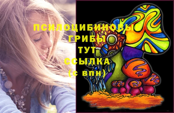 дживик Алзамай